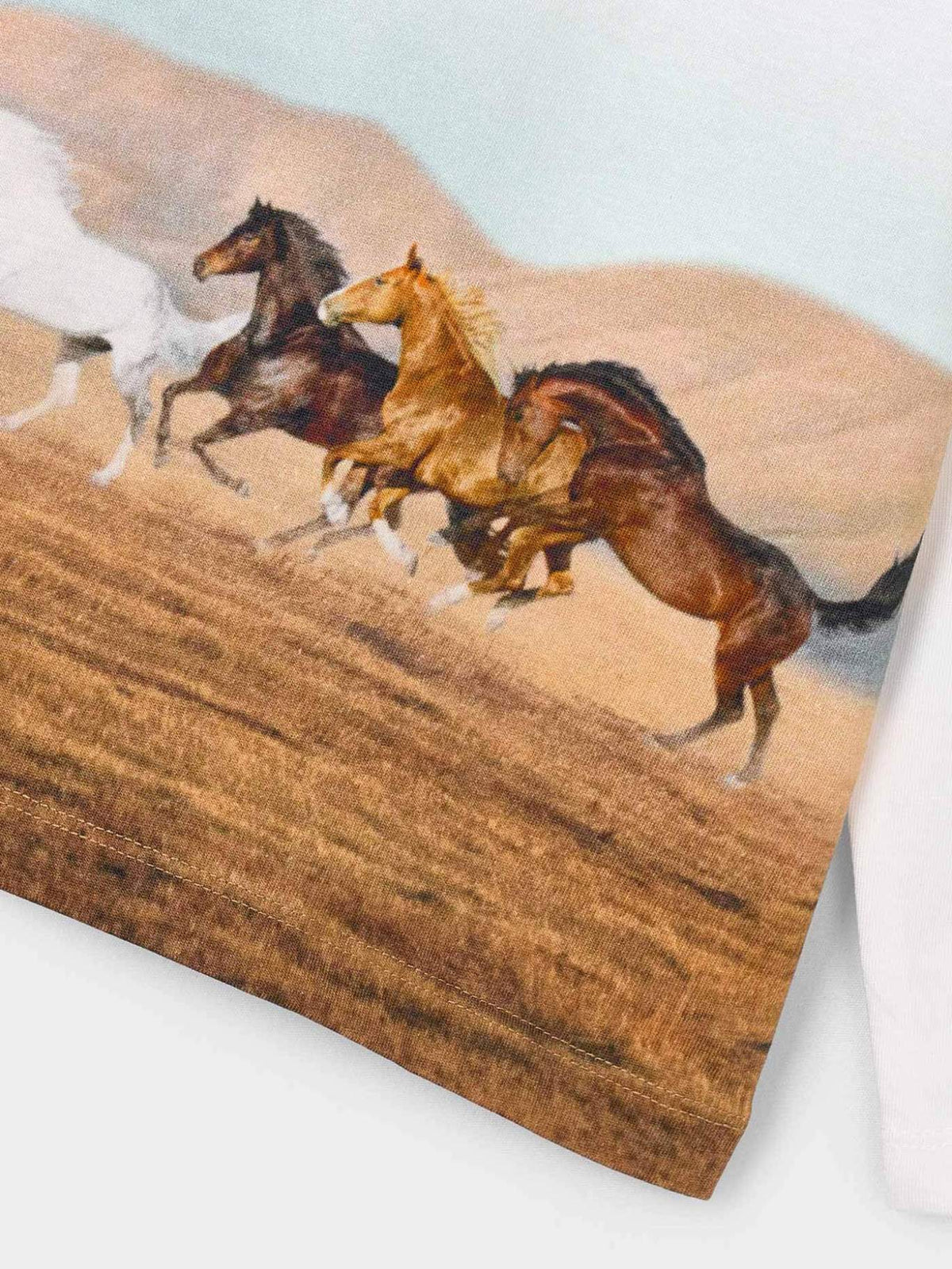 Camisola possicionada Cavalos (Castanho Claro)  para Menino - Mayoral