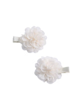 Set of 2 flower gains - 15-05967