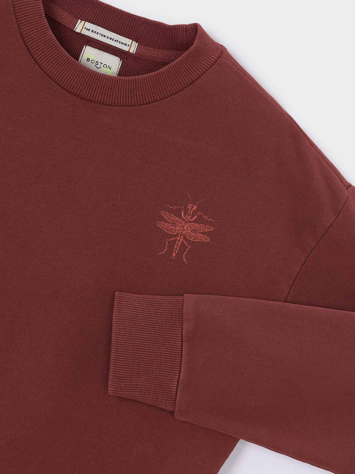 Sweat prin fluor Barro Esc (Castanho Escuro)  para Menino - Mayoral
