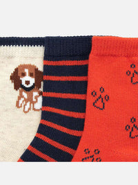 Set 3 soquetes "beagle" Cabaça     (Laranja)  para Bebé Menino - Mayoral