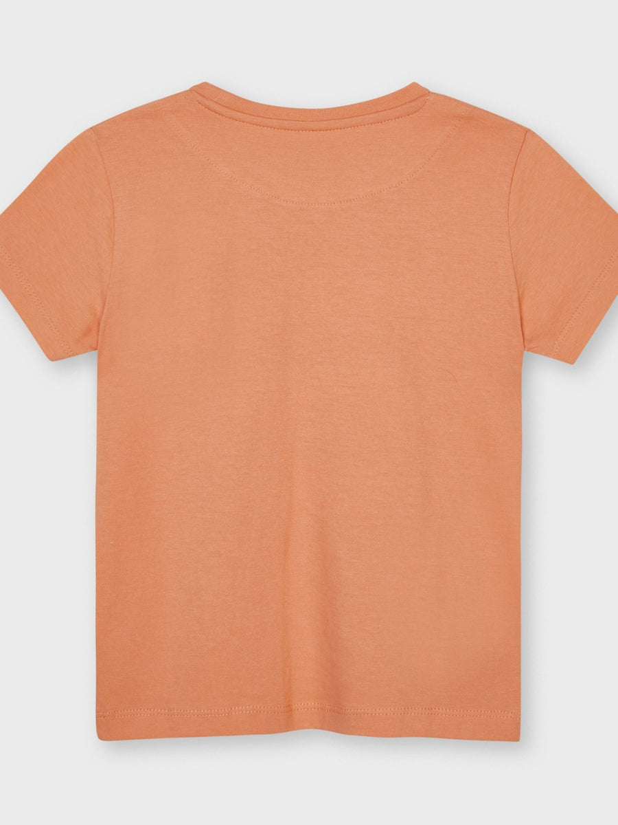 T-shirt skateboards Damasco    (Laranja Outono)  para Menino - Mayoral