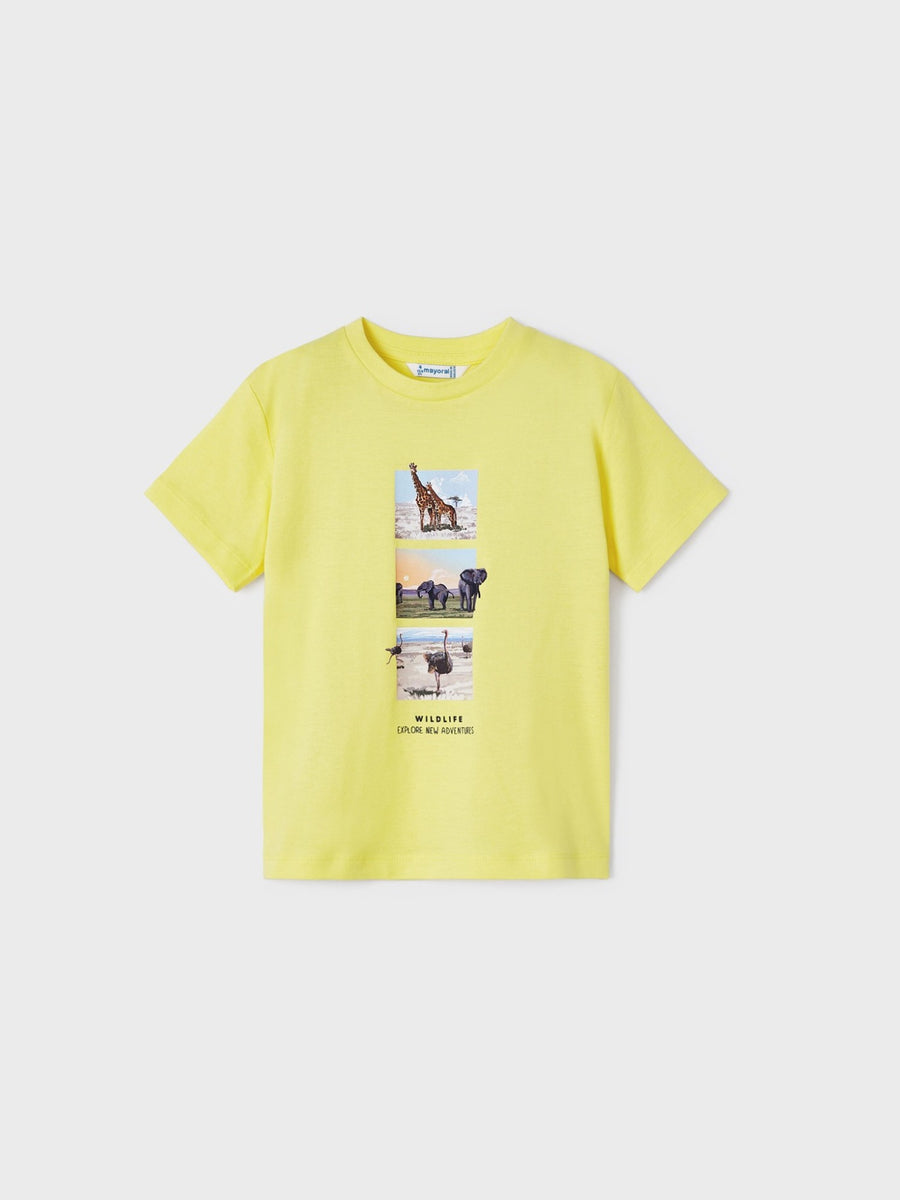 Pack 2 camiseta lisa/riscas Ananás (Amarelo)  para Menino - Mayoral