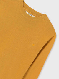 Jersey algodão Ocre (Amarelo Ocre)  para Menino - Mayoral