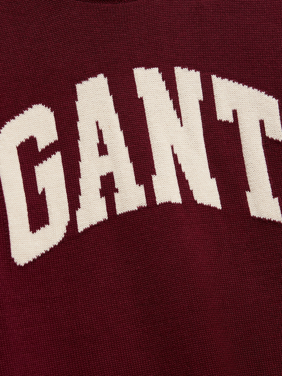 Camisola Bordeaux para Menino - GANT
