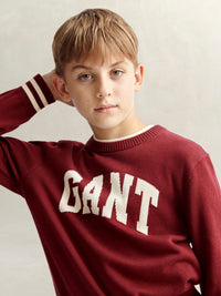 Camisola Bordeaux para Menino - GANT