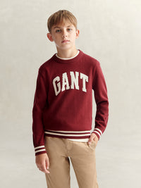 Camisola Bordeaux para Menino - GANT