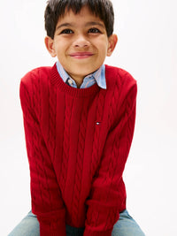 Camisola Vermelho Escuro para Menino - TOMMY HILFIGER