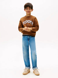 Sweatshirt Castanho para Menino - TOMMY HILFIGER