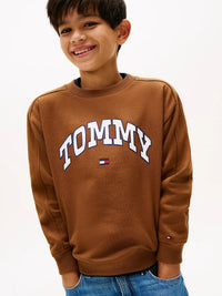 Sweatshirt Castanho para Menino - TOMMY HILFIGER