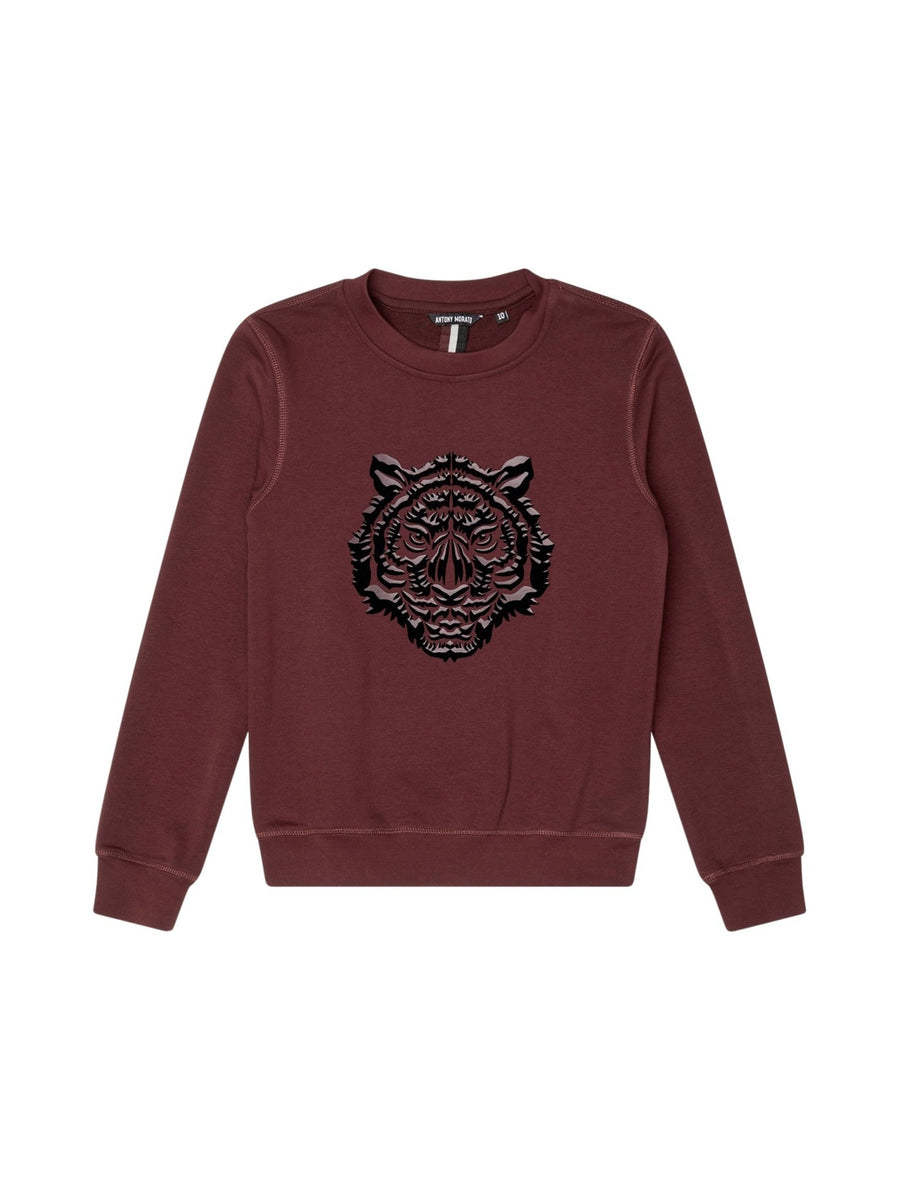 Sweat-shirt Bordeaux para Menino - ANTONY MORATO